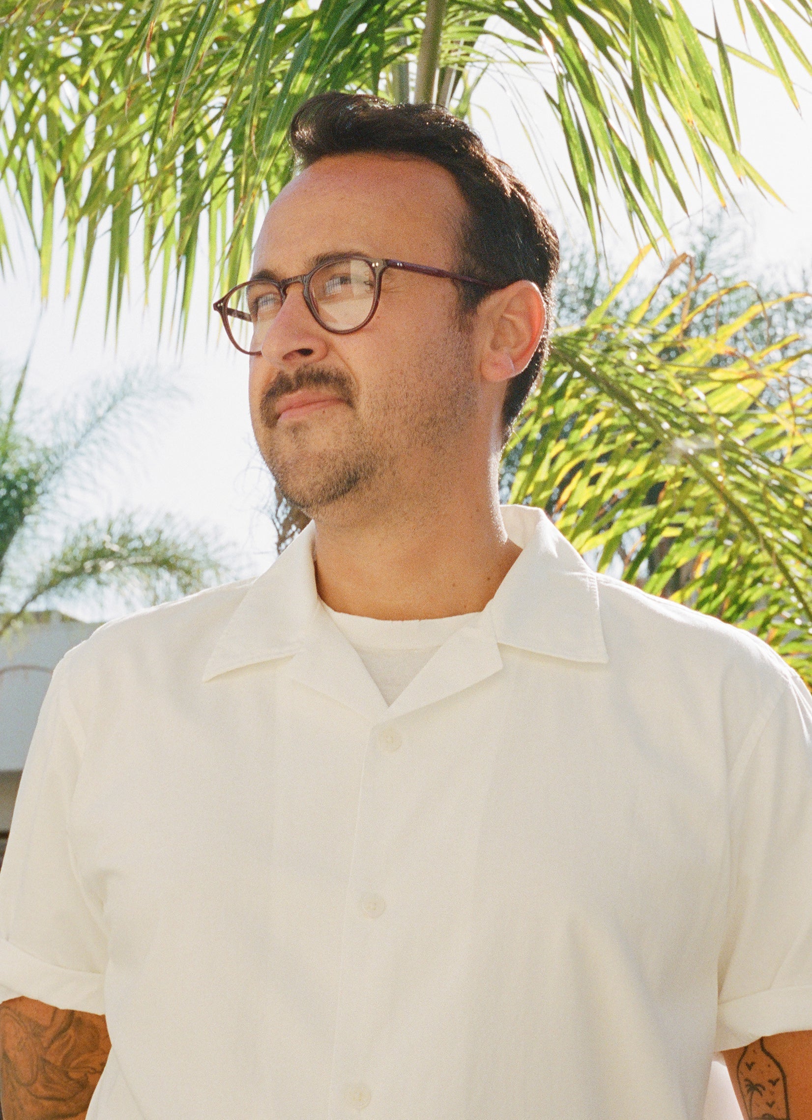 HAMPTON — Matte Brandy Tortoise-Bone